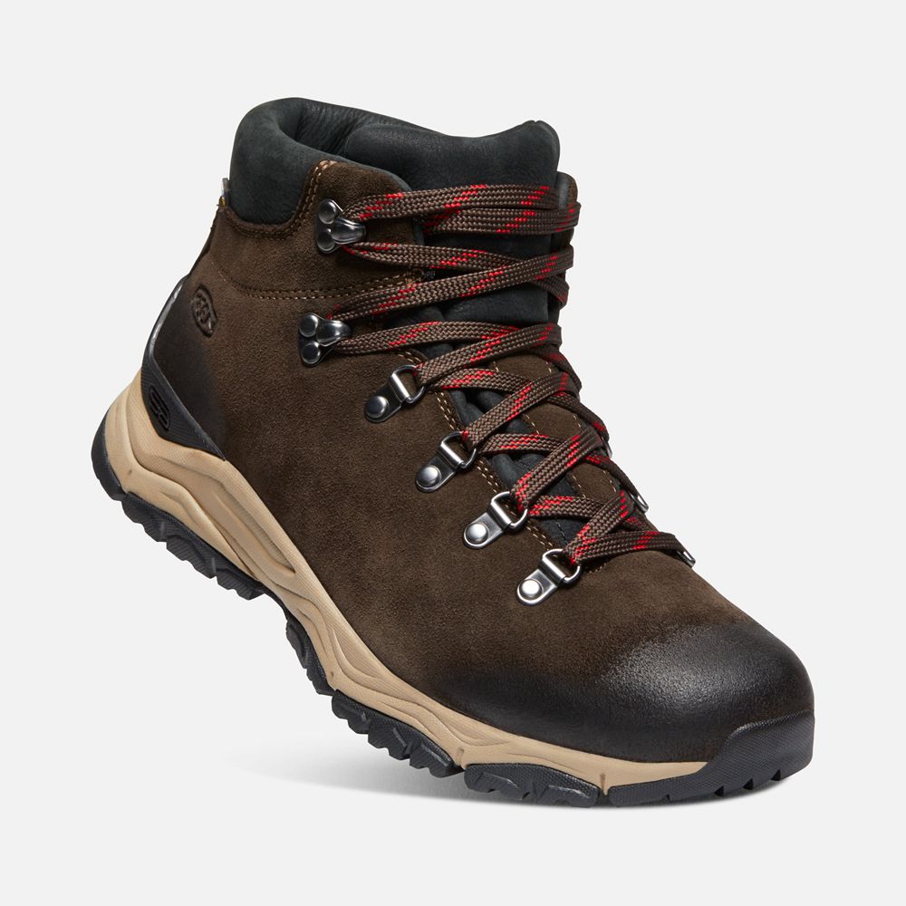 Keen Laarzen Heren Bruin - Feldberg Apx Waterproof - 31469-BDEN